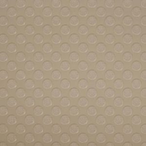 Loncompass – Camel 6′