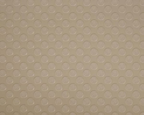 Loncompass – Camel 6′